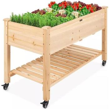 Guruló fa palántázó kép